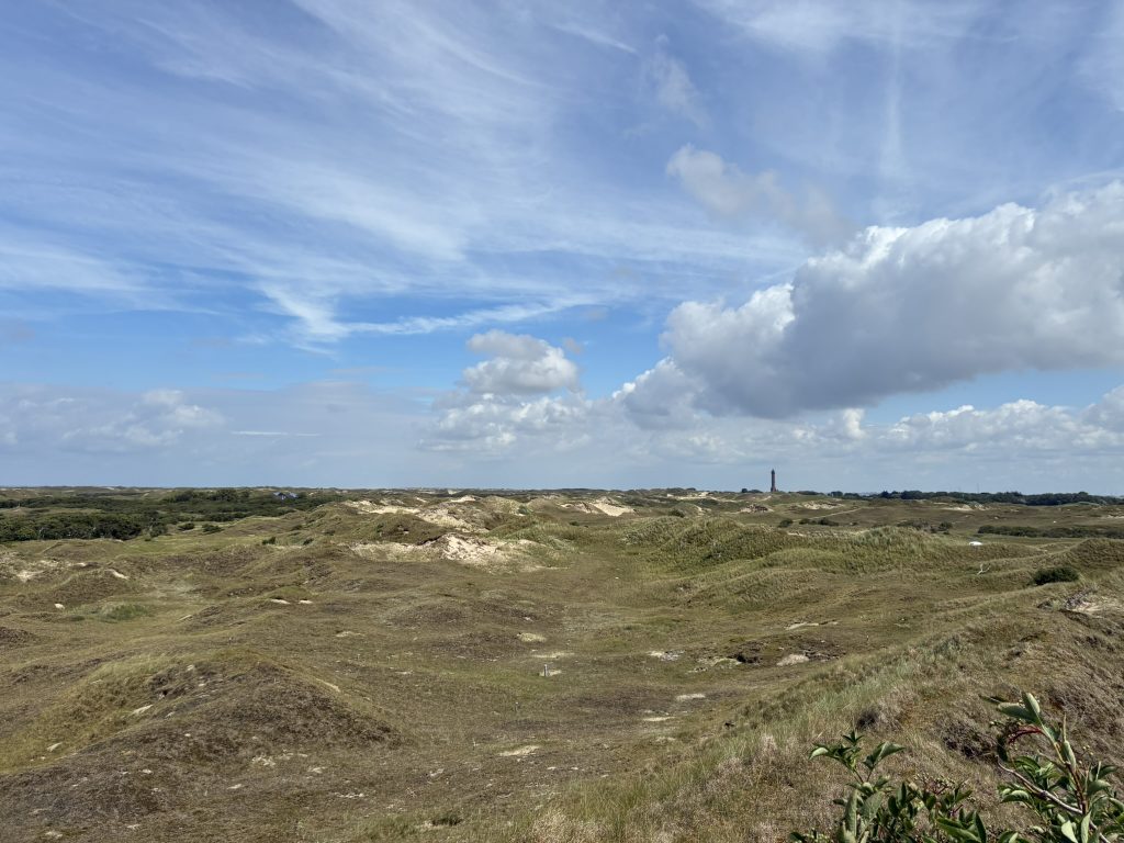 Ausblick in die Dünenlandschaft